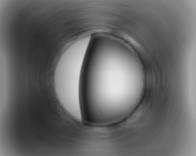 X0000097000977200802081025