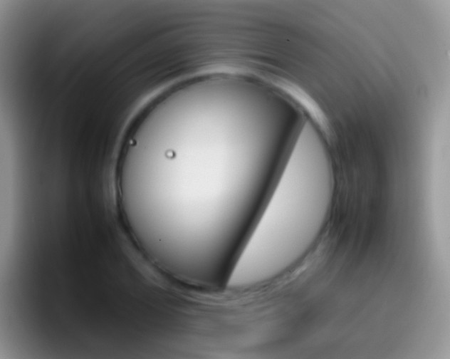 X0000097000980200802081025