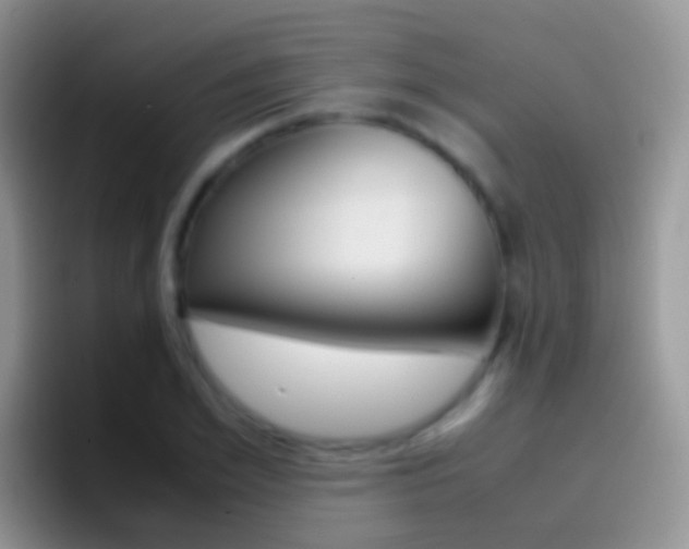 X0000097000981200802081025