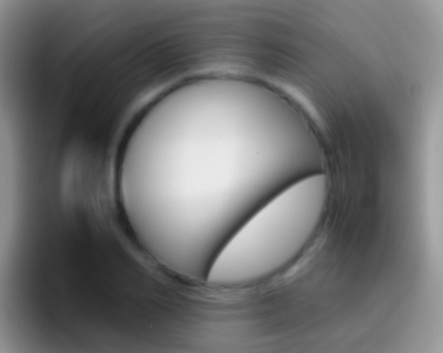X0000097000982200802081025