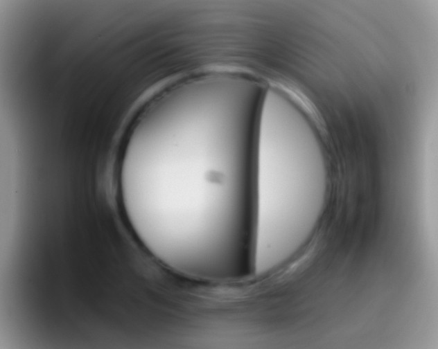 X0000097000984200802081025