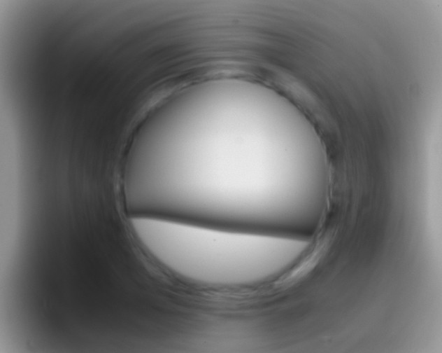 X0000097000985200802081025