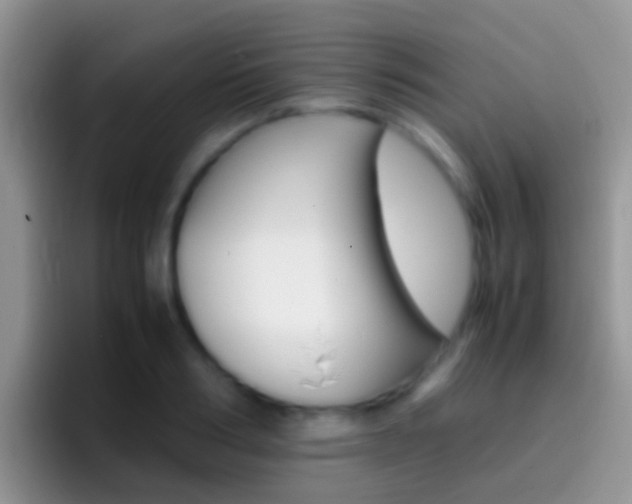 X0000097000986200802081025