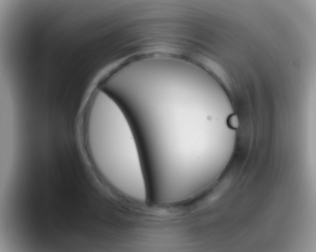 X0000097000987200802081024