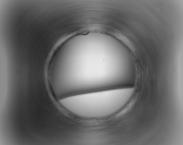 X0000097000989200802081024
