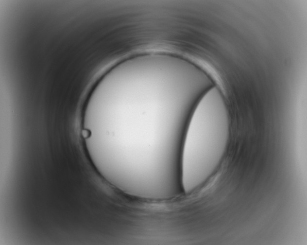 X0000097000990200802081024