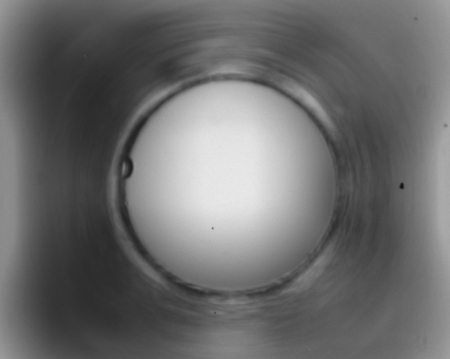 X0000097000991200802081024