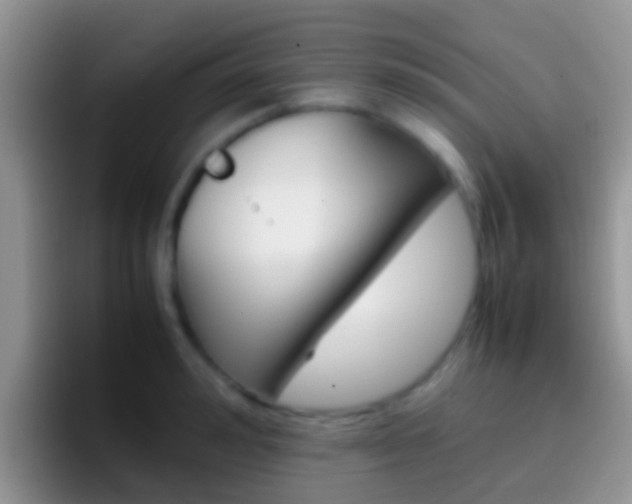 X0000097000992200802081024