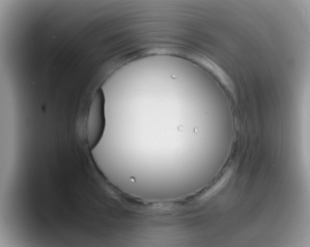 X0000097000993200802081024