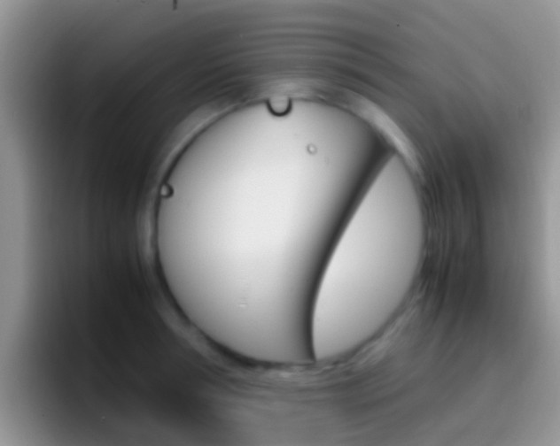 X0000097000994200802081024