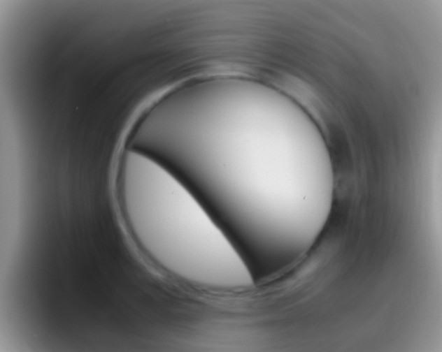 X0000097000995200802081024