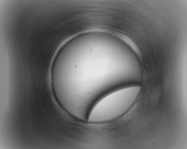 X0000097000996200802081024