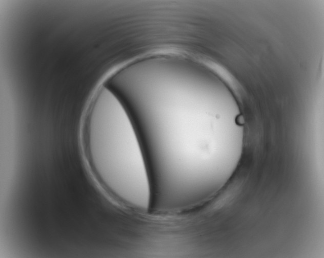 X0000097000999200802081024