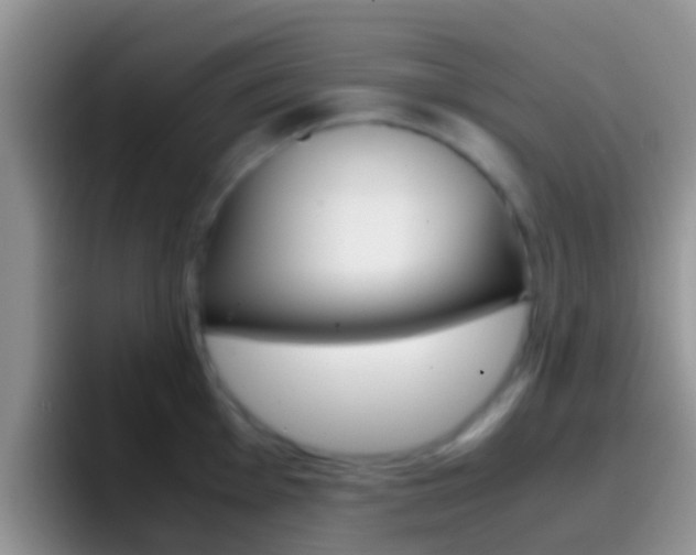 X0000097001001200802081024