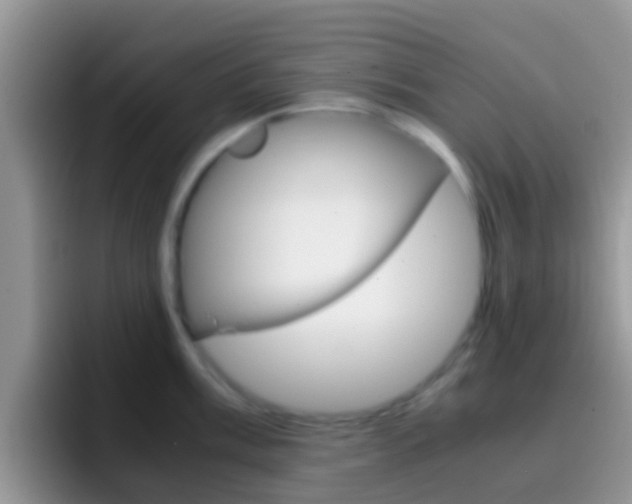 X0000097001003200802081024