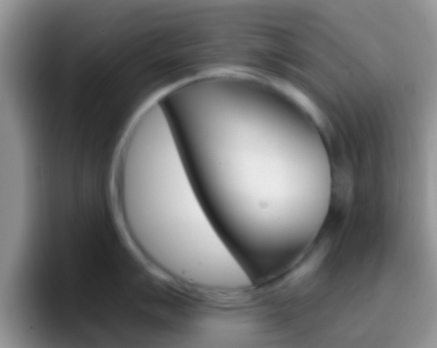 X0000097001007200802081024