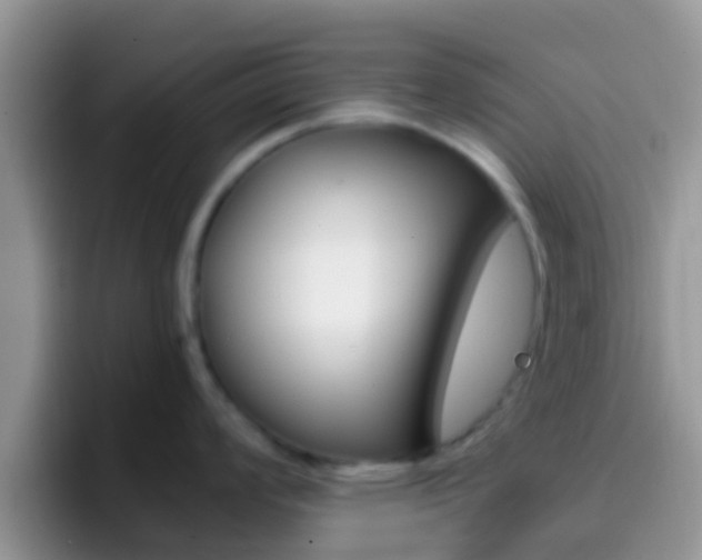 X0000097001008200802081024