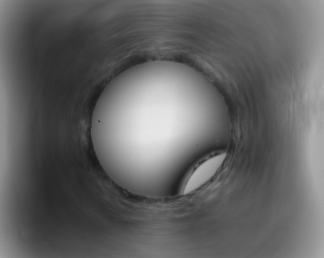 X0000097001010200802081024
