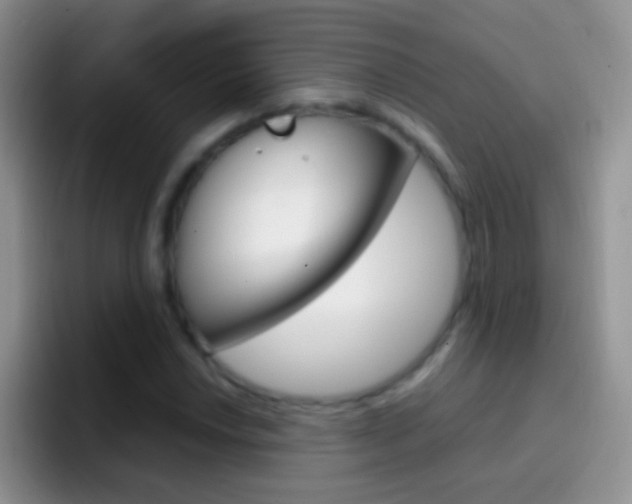X0000097001018200802081024