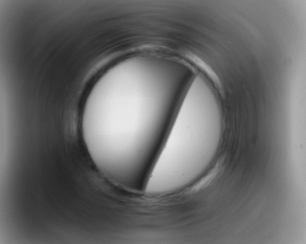 X0000097001021200802081024