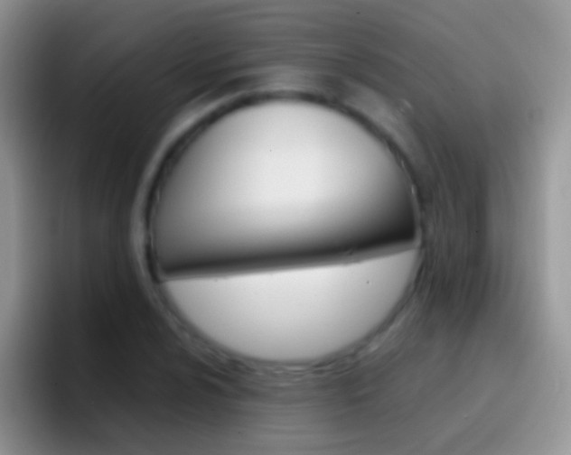 X0000097001024200802081024