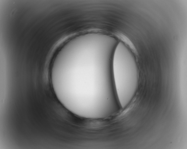 X0000097001027200802081024