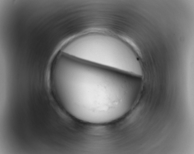 X0000097001030200802081024
