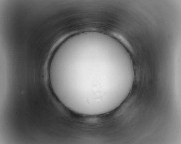 X0000097001031200802081024