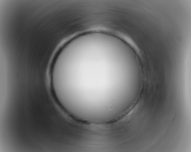 X0000097001032200802081024
