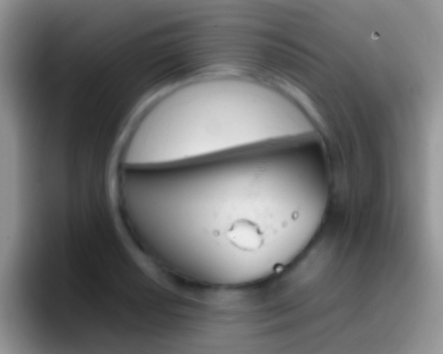 X0000097001034200802081024