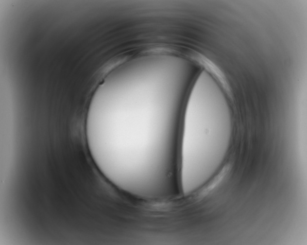 X0000097001041200802081024
