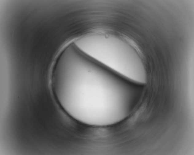 X0000097001042200802081024