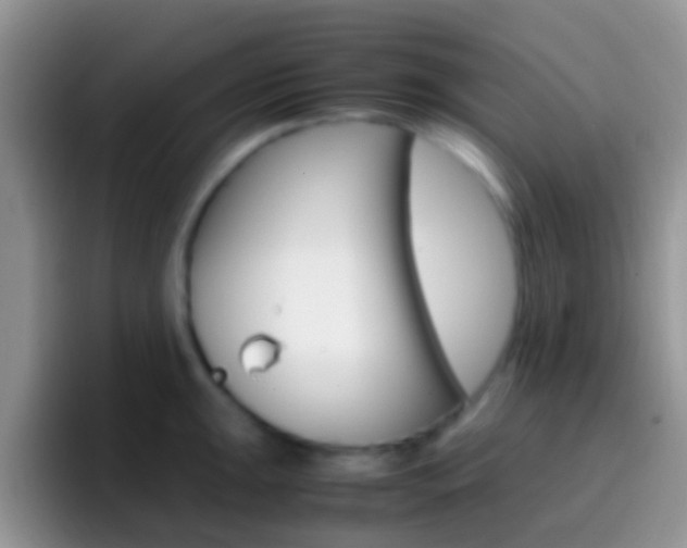 X0000097001047200802081024