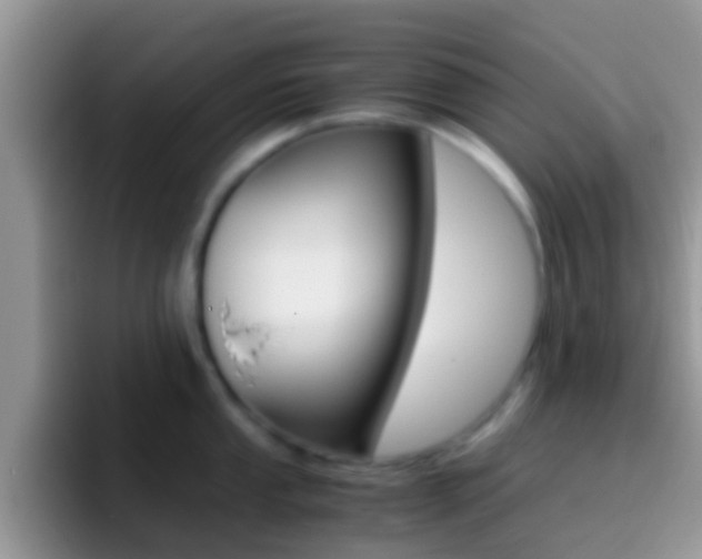 X0000097001053200802081024