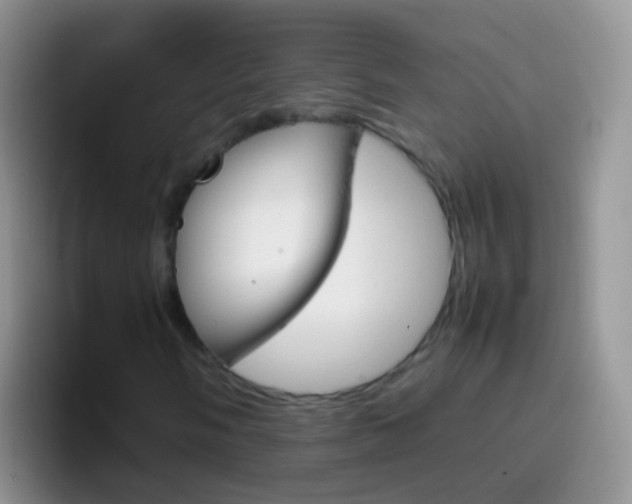 X0000097001058200802081024