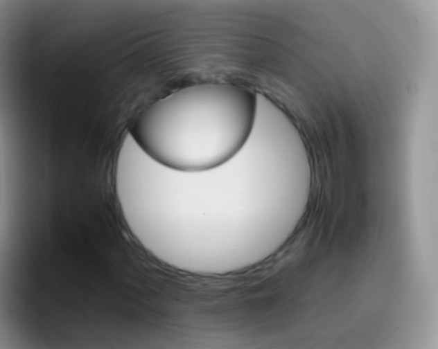 X0000097001060200802081024