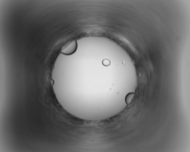 X0000097001063200802081024