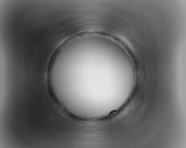 X0000097001065200802081023