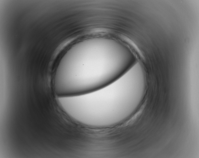 X0000097001066200802081023
