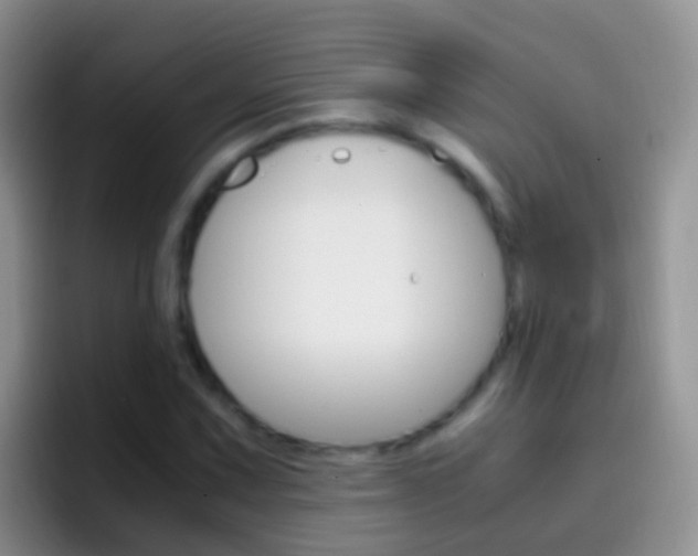 X0000097001067200802081023