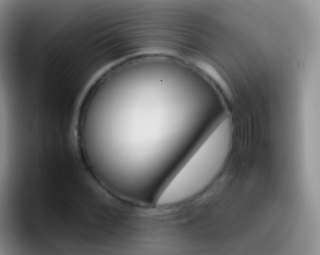 X0000097001068200802081023