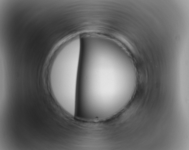 X0000097001069200802081023