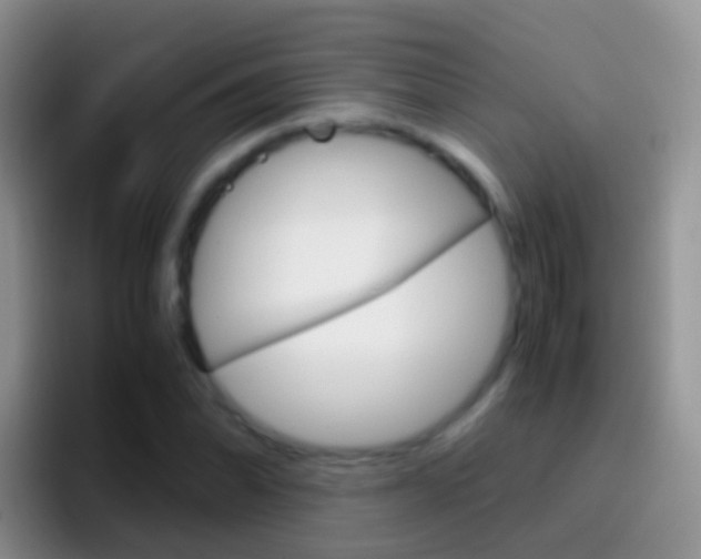 X0000097001070200802081023