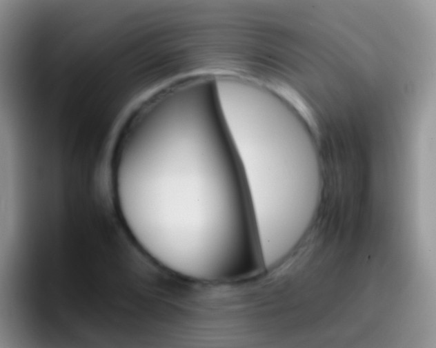 X0000097001072200802081023