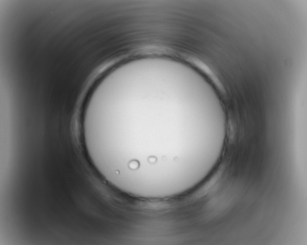 X0000097001074200802081023