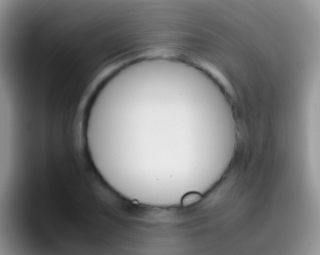 X0000097001075200802081023