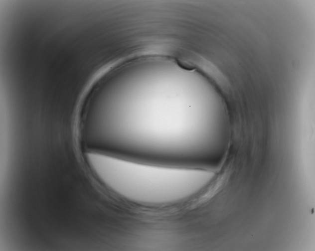 X0000097001077200802081023