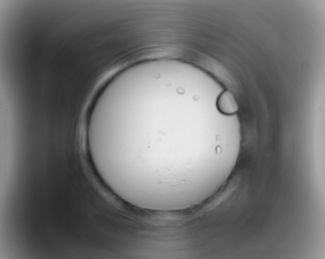 X0000097001079200802081023