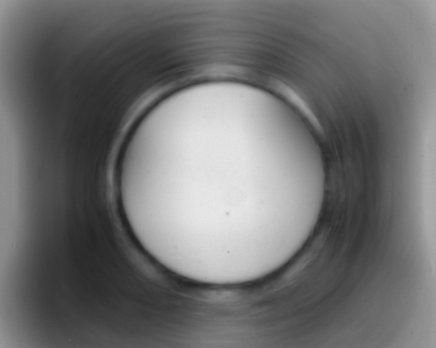 X0000097001082200802081023
