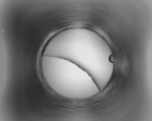 X0000097001083200802081023